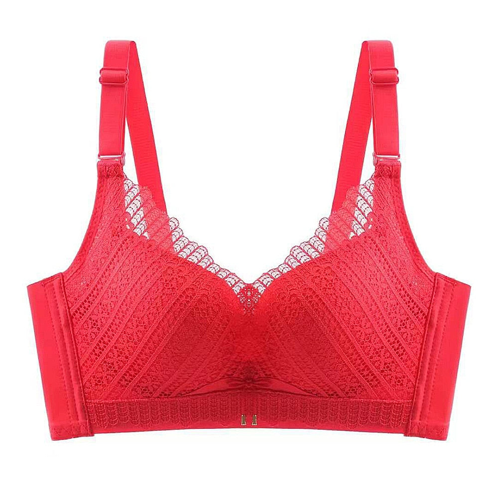 Sasha Bra Shapelust