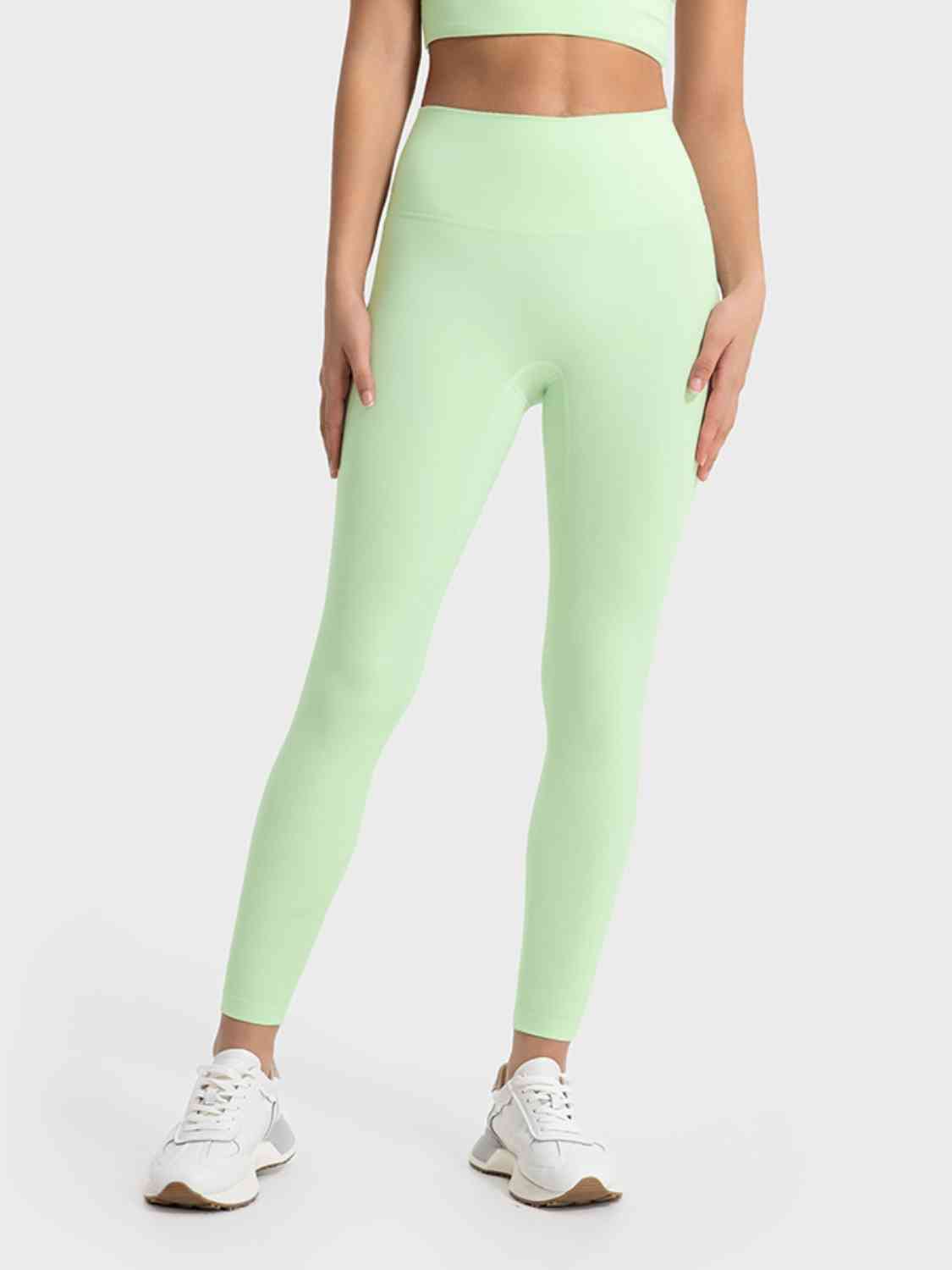 Wide Waistband Sports Leggings Shapelust