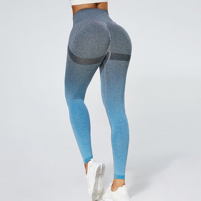 Ombre POP Series Leggings Shapelust